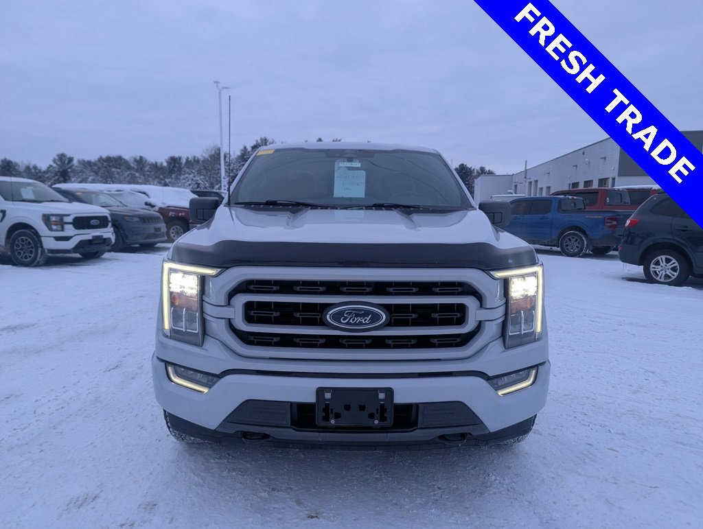 Certified 2021 Ford F150 XLT w/ Equipment Group 302A High image 8