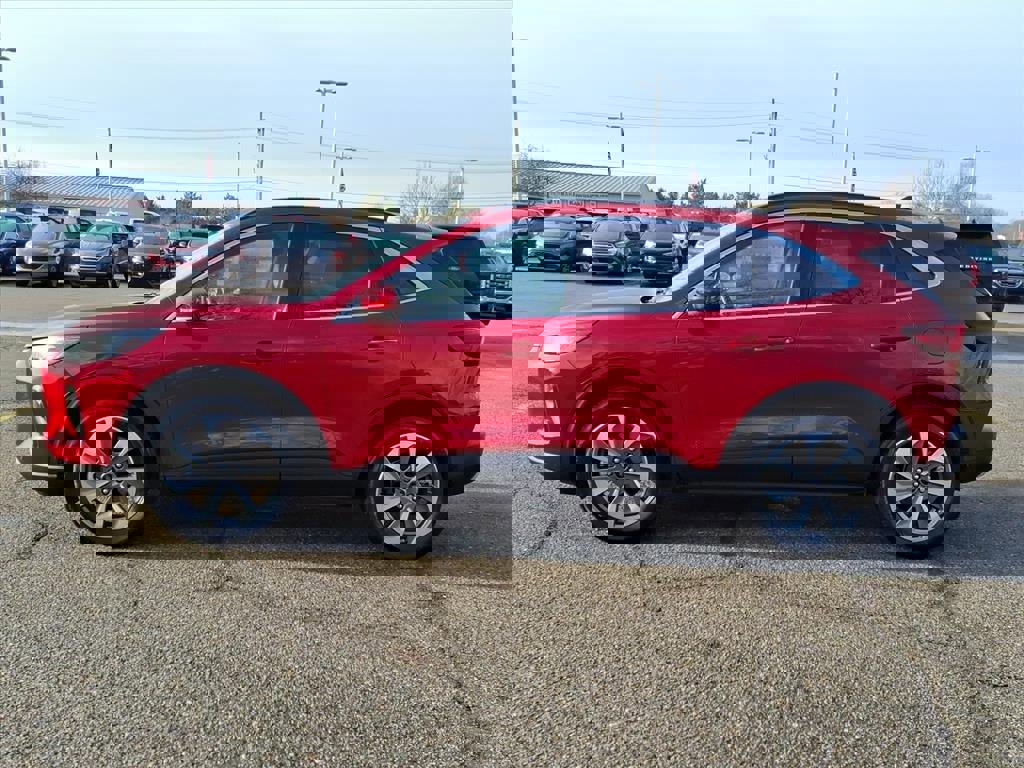 Certified 2024 Ford Escape Platinum w/ Premium Technology Package image 2