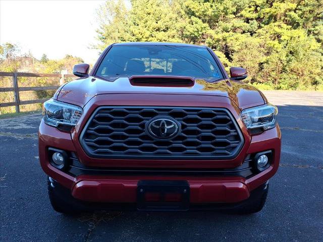 Used 2021 Toyota Tacoma TRD Sport AWD/4WD image 6