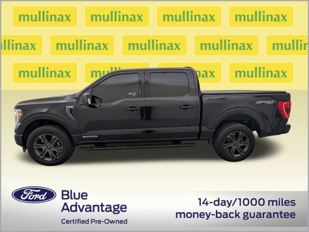 Certified 2023 Ford F150 XLT w/ Equipment Group 302A High image 2