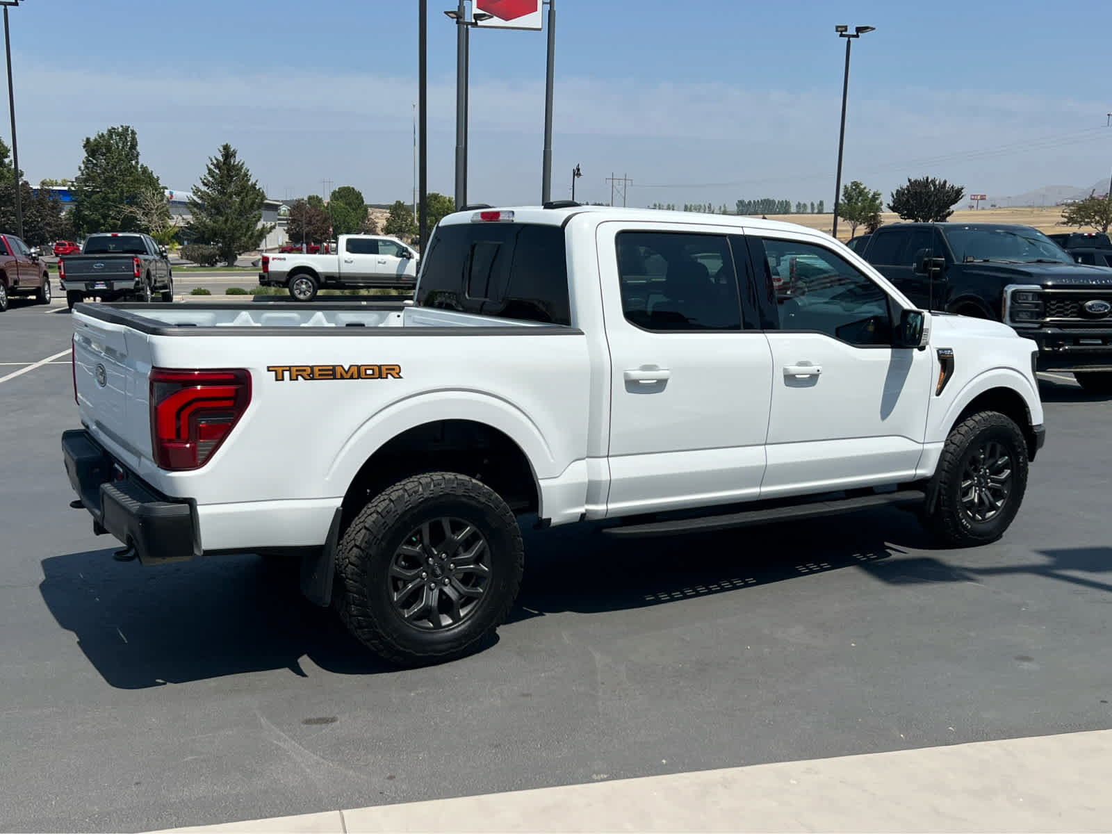 Certified 2025 Ford F150 Tremor w/ Equipment Group 402A High AWD/4WD image 7