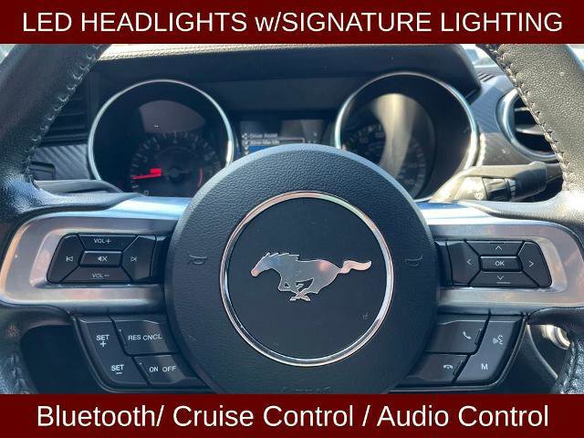 Certified 2022 Ford Mustang Coupe w/ Black Accent Package image 17