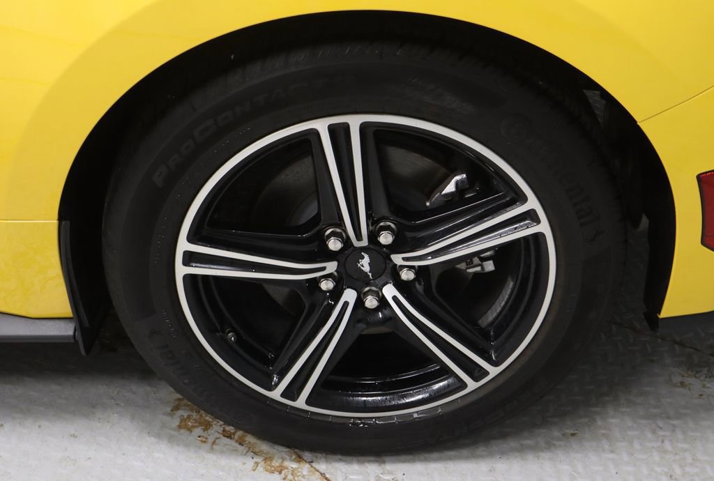 Certified 2024 Ford Mustang Coupe RWD image 19