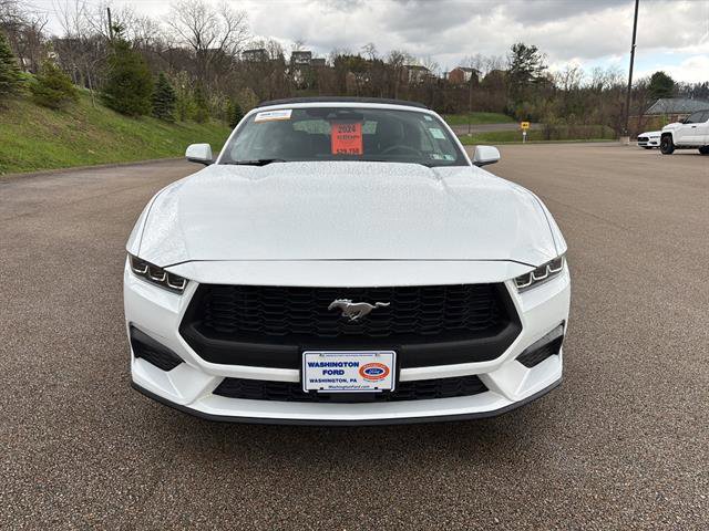 Certified 2024 Ford Mustang Premium image 8