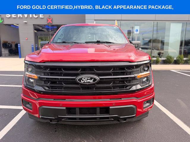 Certified 2024 Ford F150 XLT w/ Equipment Group 302A MID AWD/4WD image 15