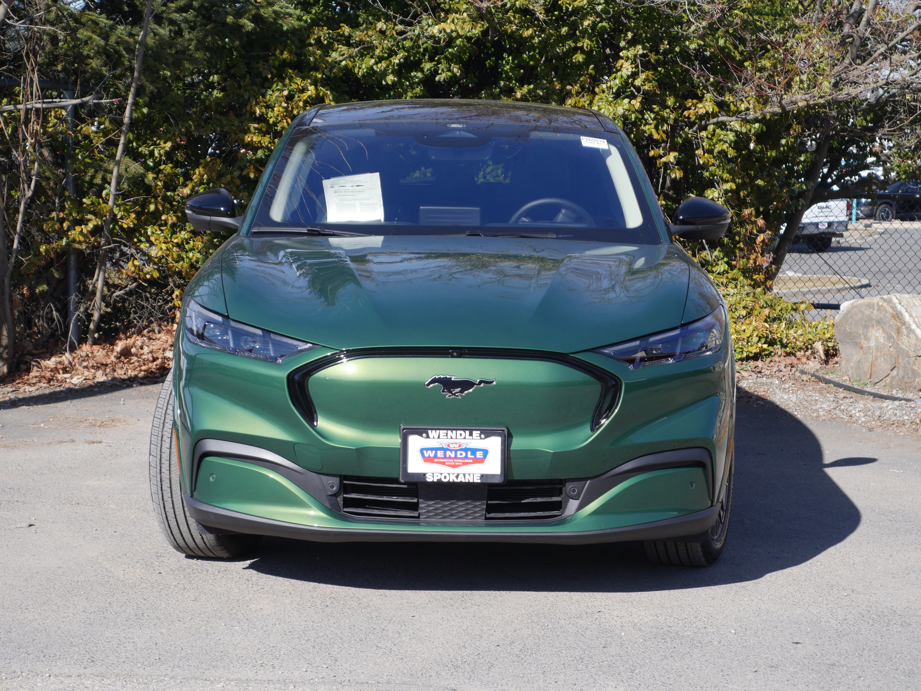 Certified 2025 Ford Mustang Mach-E Premium w/ Interior Protection Package image 8