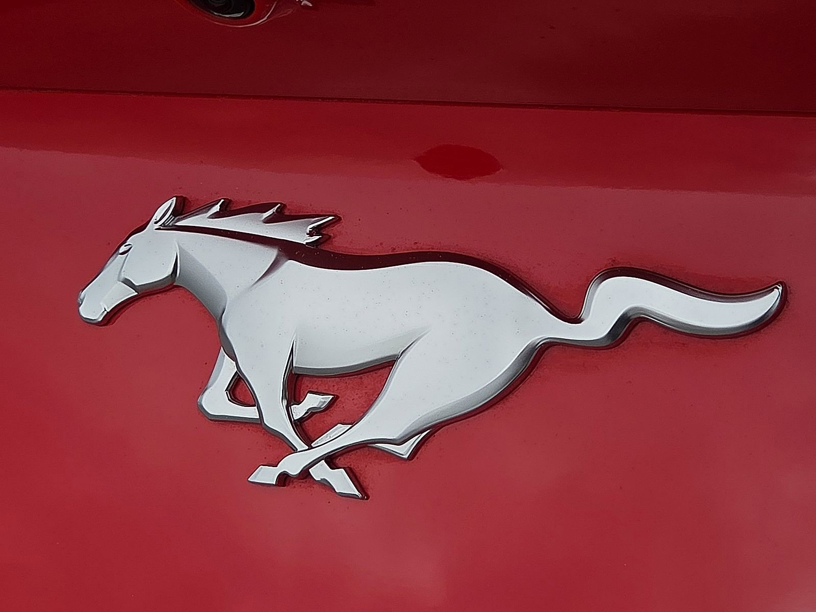 Certified 2025 Ford Mustang Coupe RWD image 9