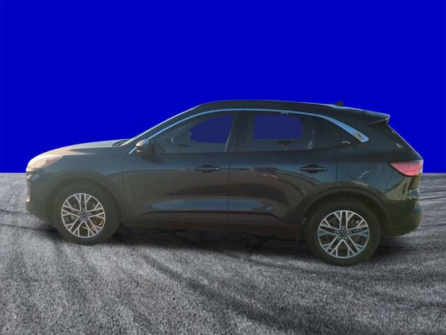 Certified 2022 Ford Escape SEL image 7
