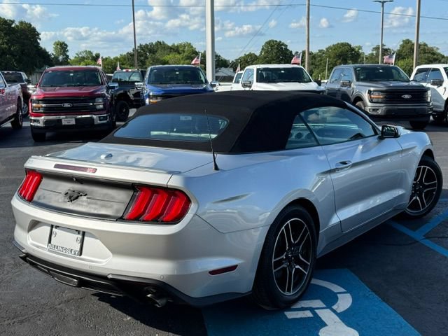 Certified 2019 Ford Mustang Premium RWD image 4