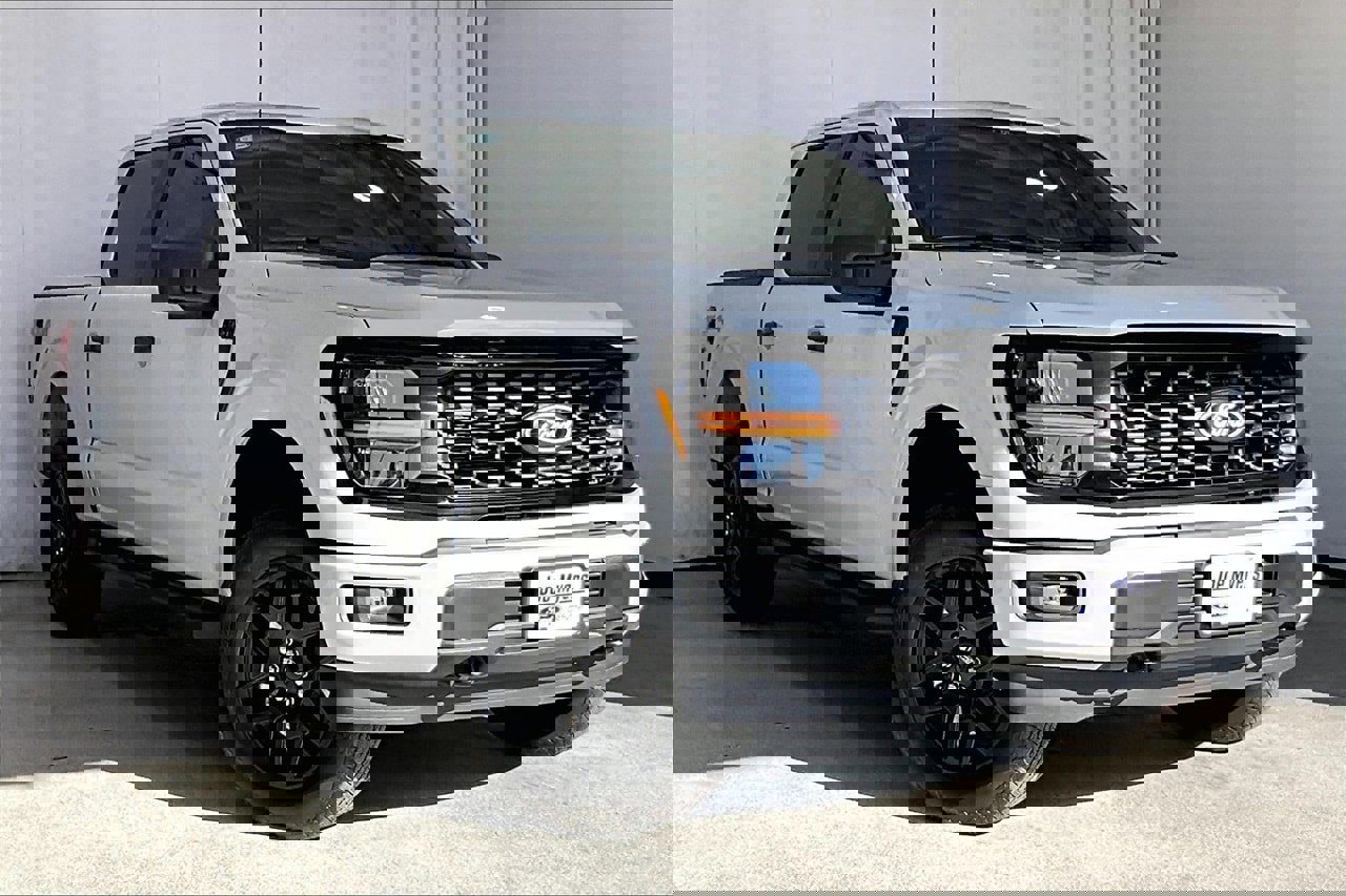 Certified 2024 Ford F150 STX w/ STX Black Appearance Package image 6