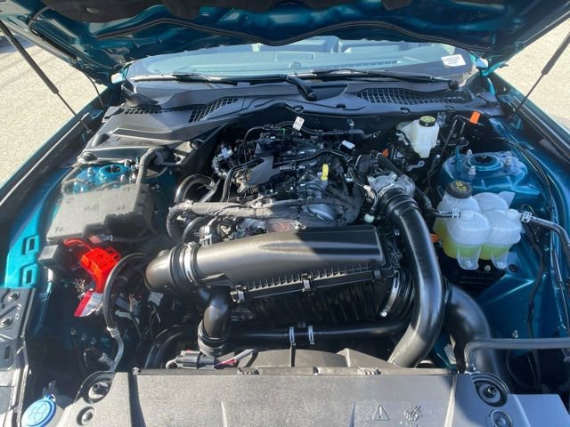 Certified 2026 Ford Mustang EcoBoost image 12