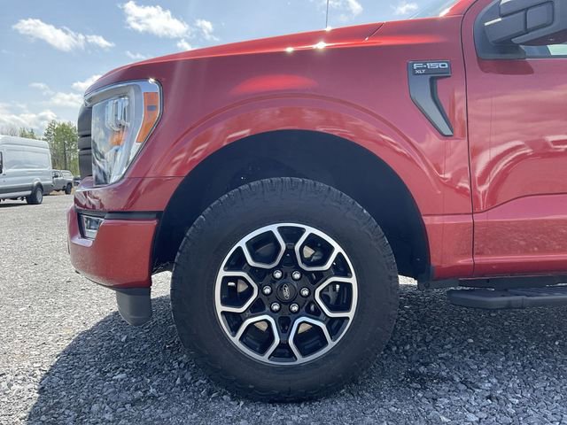 Certified 2023 Ford F150 XLT w/ Equipment Group 302A High AWD/4WD image 11