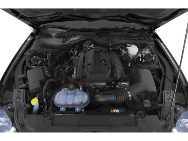 Certified 2018 Ford Mustang ECOBOOST w/ Equipment Group 101A image 12