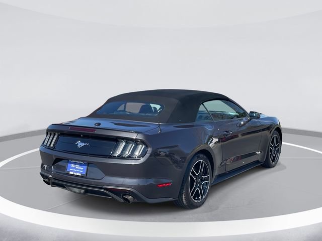 Certified 2023 Ford Mustang Premium image 3