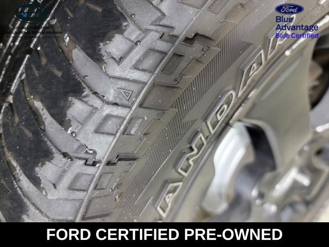 Used 2024 Subaru Forester Wilderness AWD/4WD image 11