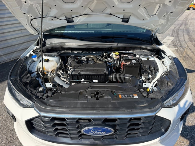Certified 2024 Ford Escape ST-Line w/ Tech Pack #1 AWD/4WD image 14
