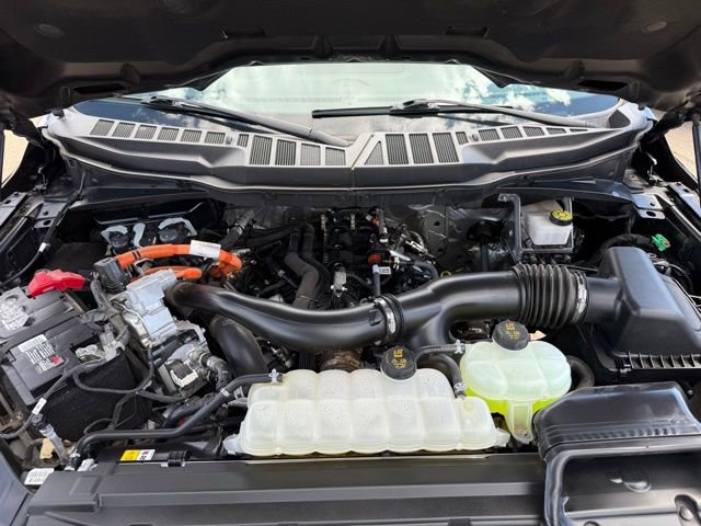 Certified 2024 Ford F150 XLT w/ FX4 Off-Road Package AWD/4WD image 43