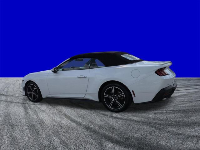 Certified 2024 Ford Mustang Premium image 6