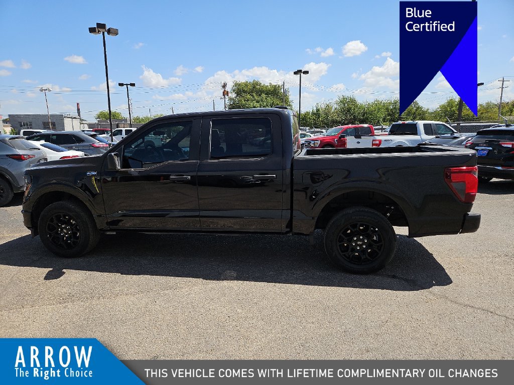 Certified 2025 Ford F150 STX RWD image 7