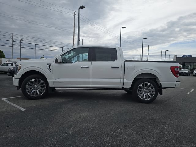 Certified 2023 Ford F150 Limited AWD/4WD image 18