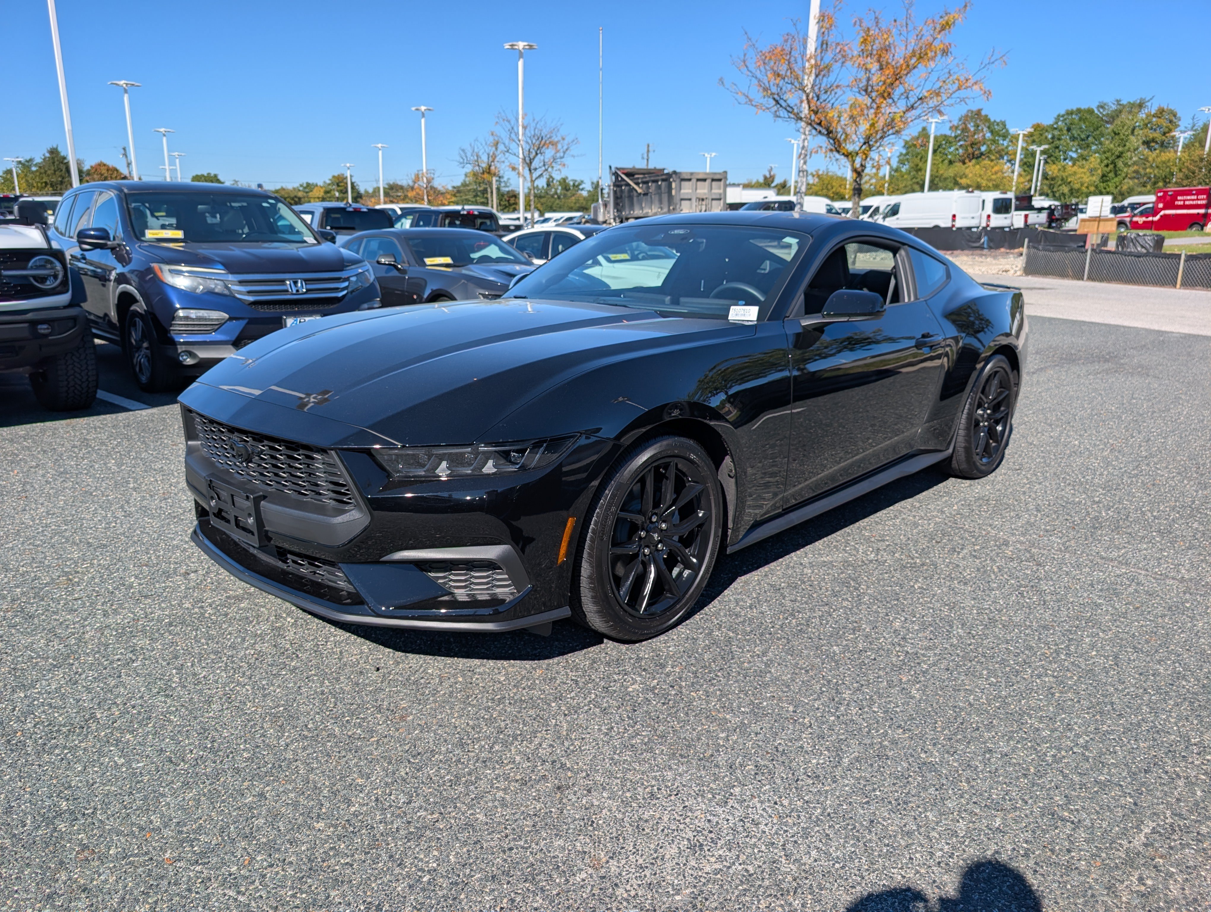 Certified 2026 Ford Mustang Coupe w/ Mustang Nite Pony Package RWD image 8