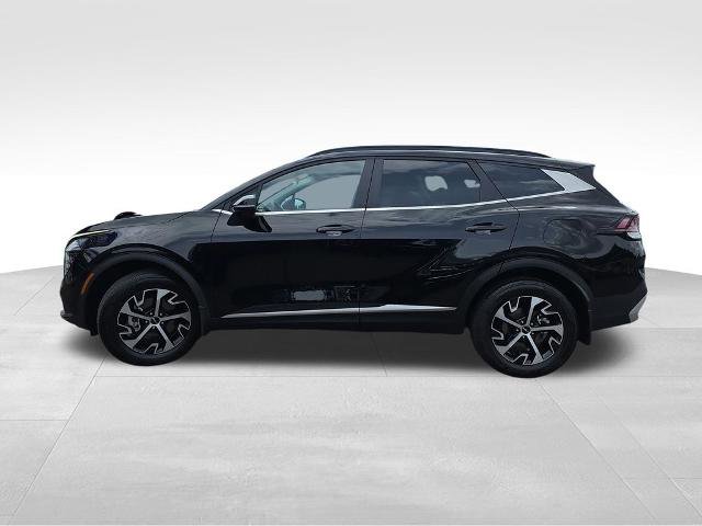 Used 2025 Kia Sportage EX w/ Premium Package AWD/4WD image 5