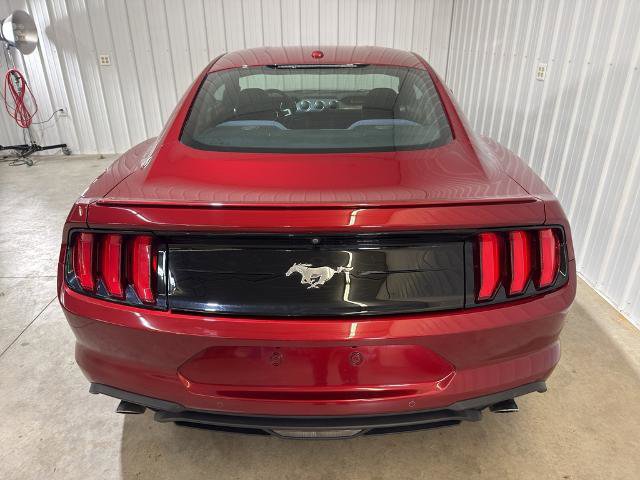 Certified 2018 Ford Mustang ECOBOOST w/ Equipment Group 101A image 3