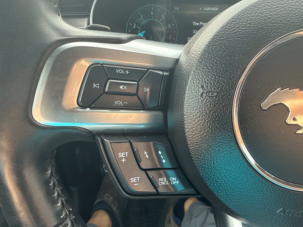 Certified 2019 Ford Mustang Premium w/ Equipment Group 201A RWD image 16