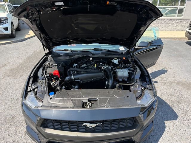 Certified 2024 Ford Mustang Premium RWD image 24