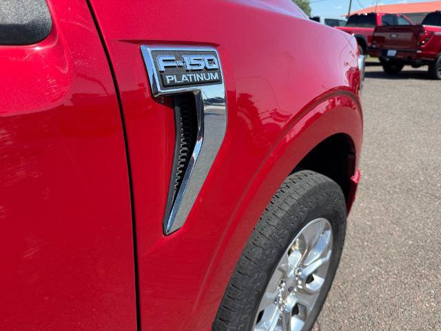 Certified 2022 Ford F150 Platinum w/ Equipment Group 701A High AWD/4WD image 14