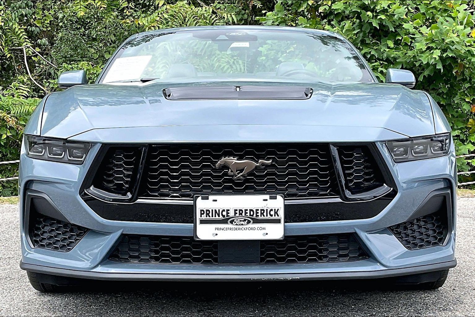 Certified 2025 Ford Mustang GT Premium RWD image 2