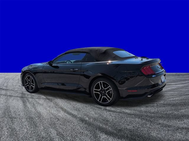 Certified 2019 Ford Mustang Premium RWD image 6