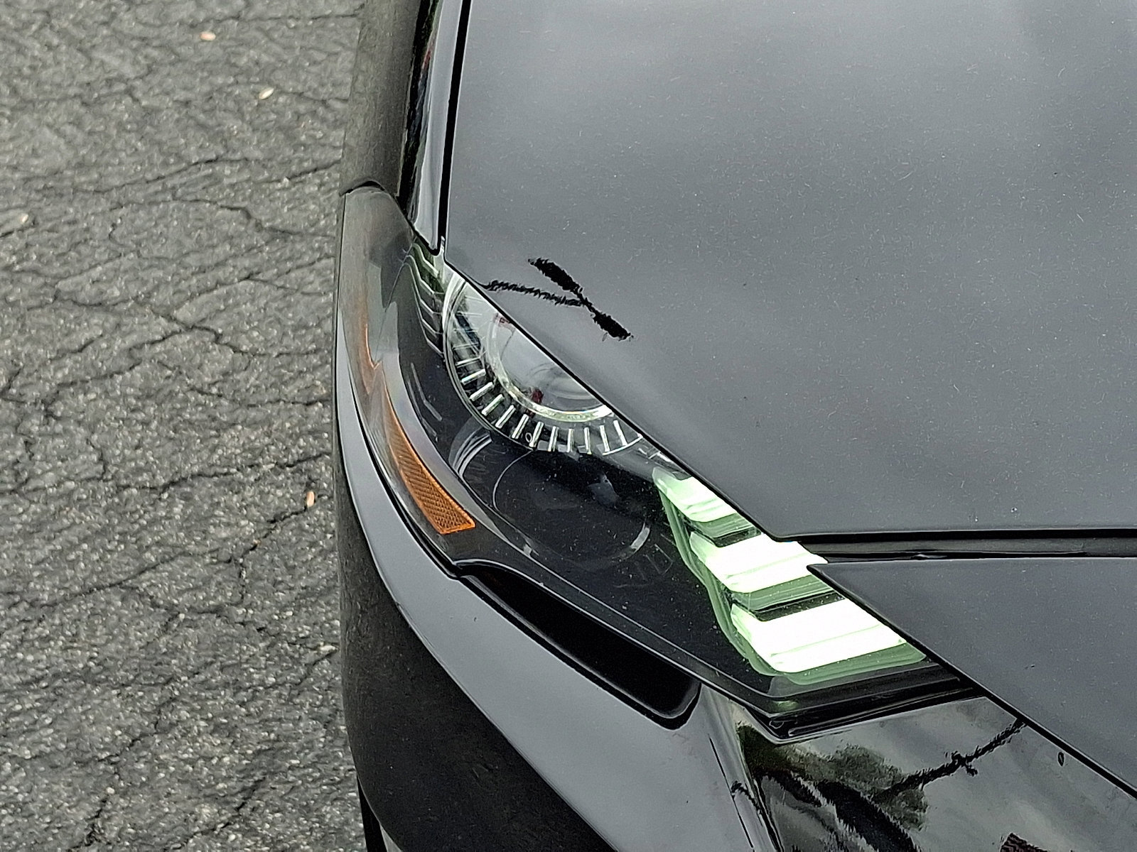Certified 2023 Ford Mustang Premium RWD image 10