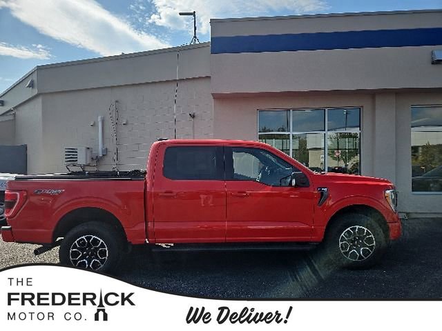 Certified 2022 Ford F150 XLT w/ Equipment Group 302A High