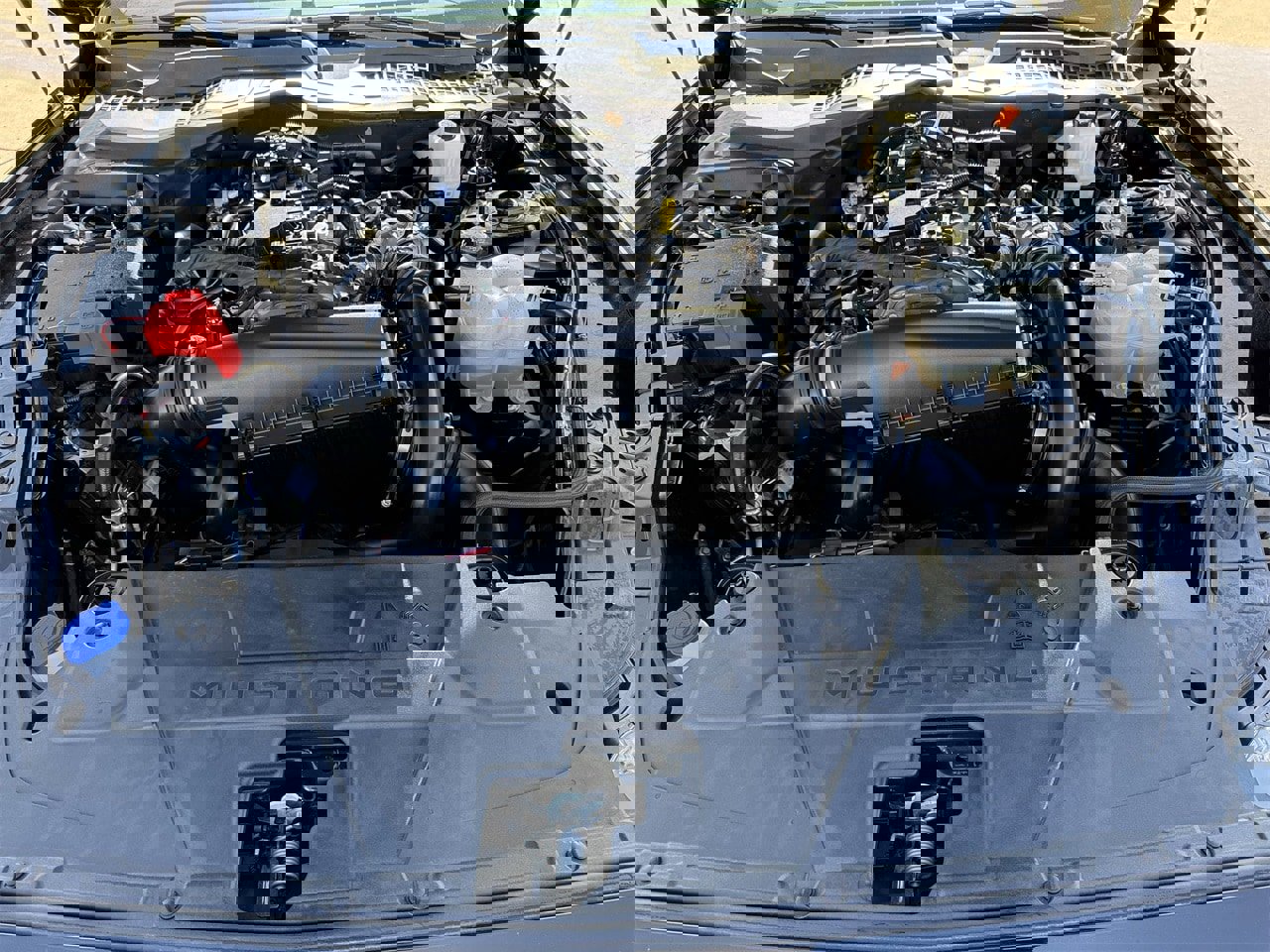 Certified 2025 Ford Mustang Ecoboost image 28