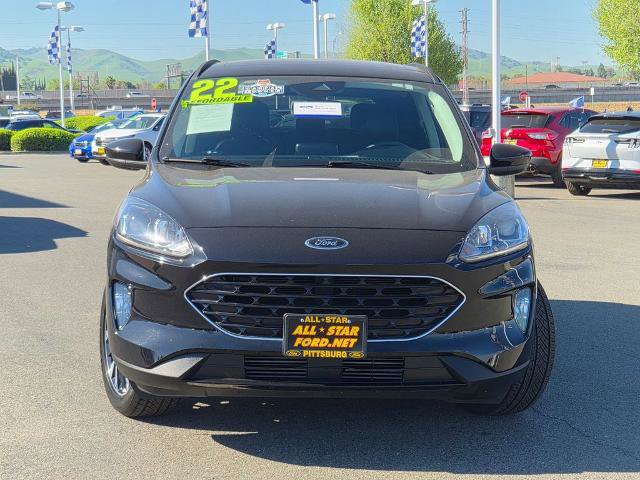 Certified 2022 Ford Escape SEL w/ SEL Stealth AWD Package image 8