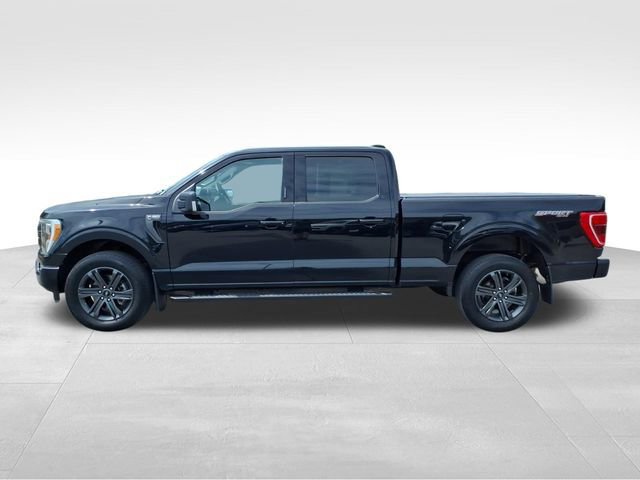 Certified 2023 Ford F150 XLT w/ Equipment Group 302A High image 3