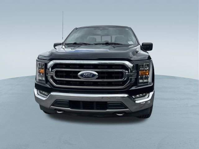 Certified 2021 Ford F150 XLT w/ Equipment Group 302A High AWD/4WD image 10