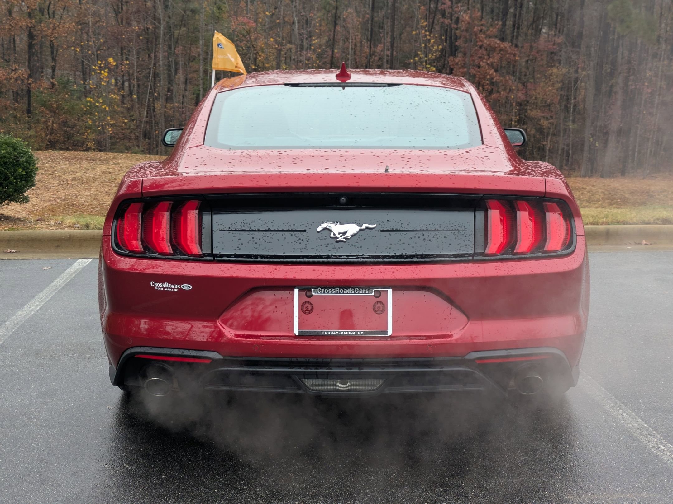 Certified 2022 Ford Mustang EcoBoost w/ Equipment Group 101A image 4