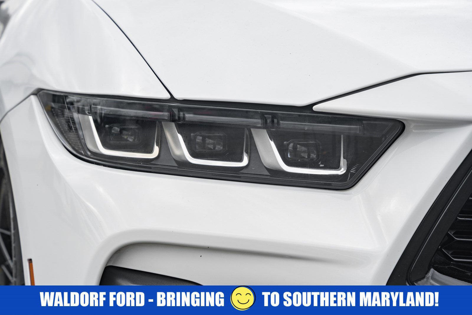 Certified 2024 Ford Mustang GT image 12