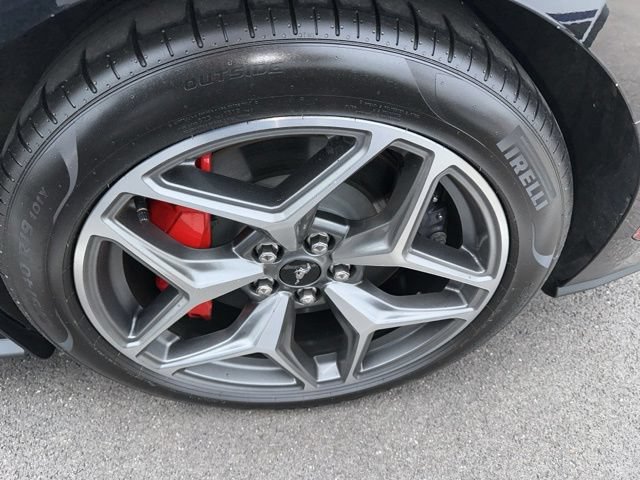 Certified 2024 Ford Mustang GT Premium w/ GT Performance Package RWD image 19