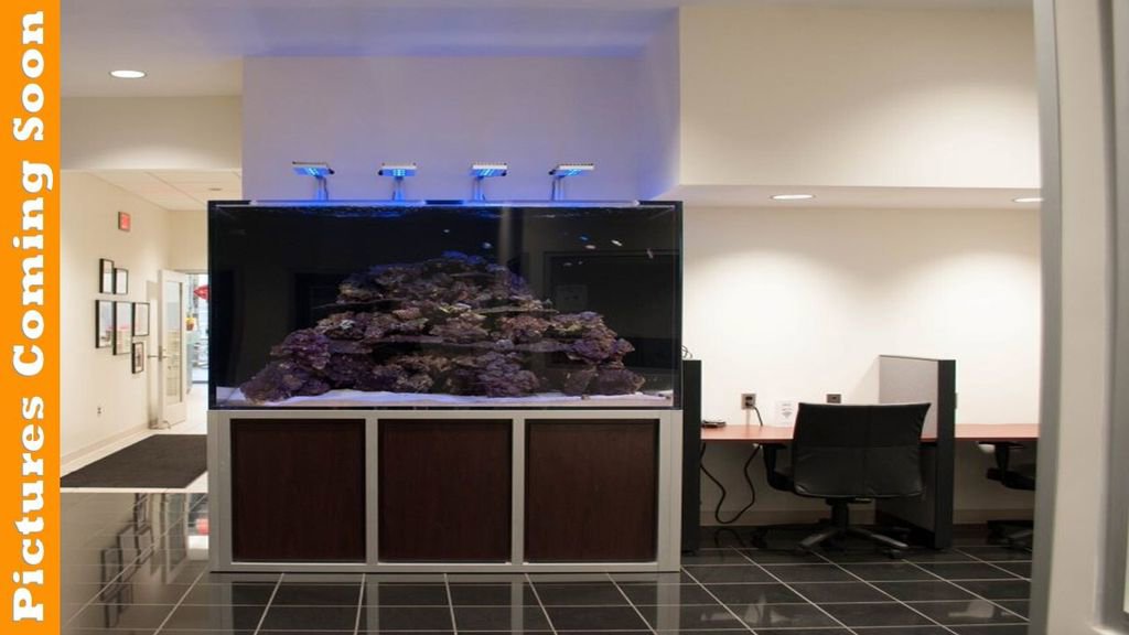 Certified 2020 Ford Fusion S image 15