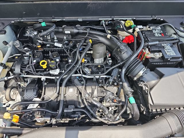 Certified 2024 Ford Maverick XLT w/ Equipment Group 300A Standard AWD/4WD image 30