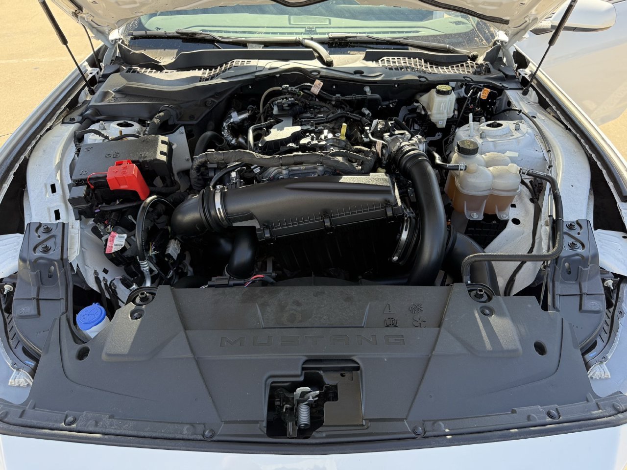Certified 2025 Ford Mustang Premium RWD image 26