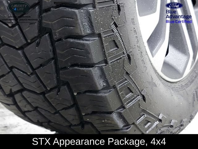 Certified 2022 Ford F150 XL w/ STX Appearance Package AWD/4WD image 11