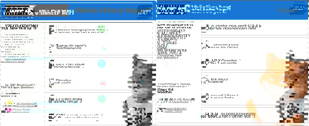 Certified 2024 Ford Expedition XLT image 11