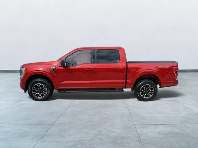 Certified 2023 Ford F150 XLT w/ Equipment Group 302A High AWD/4WD image 4
