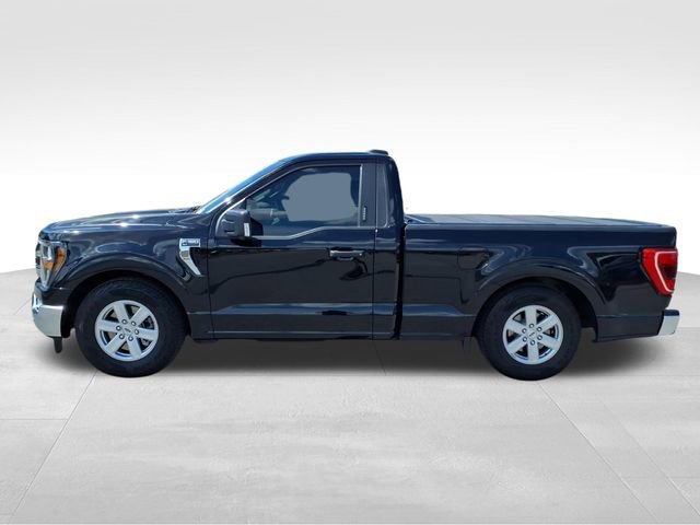 Certified 2023 Ford F150 XLT w/ Equipment Group 301A Mid image 3