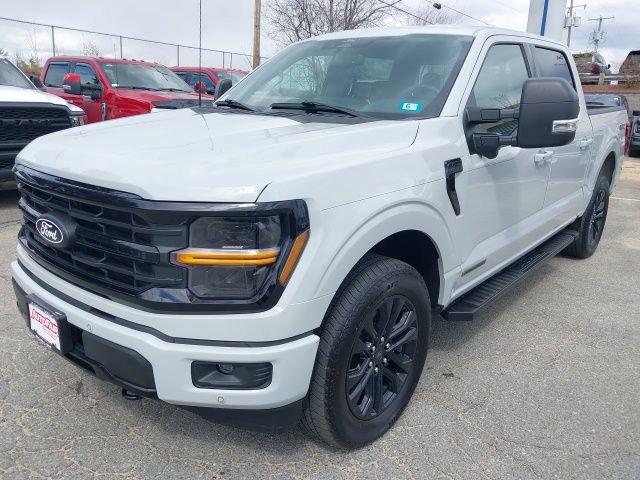 Certified 2024 Ford F150 XLT w/ Equipment Group 303A High image 2