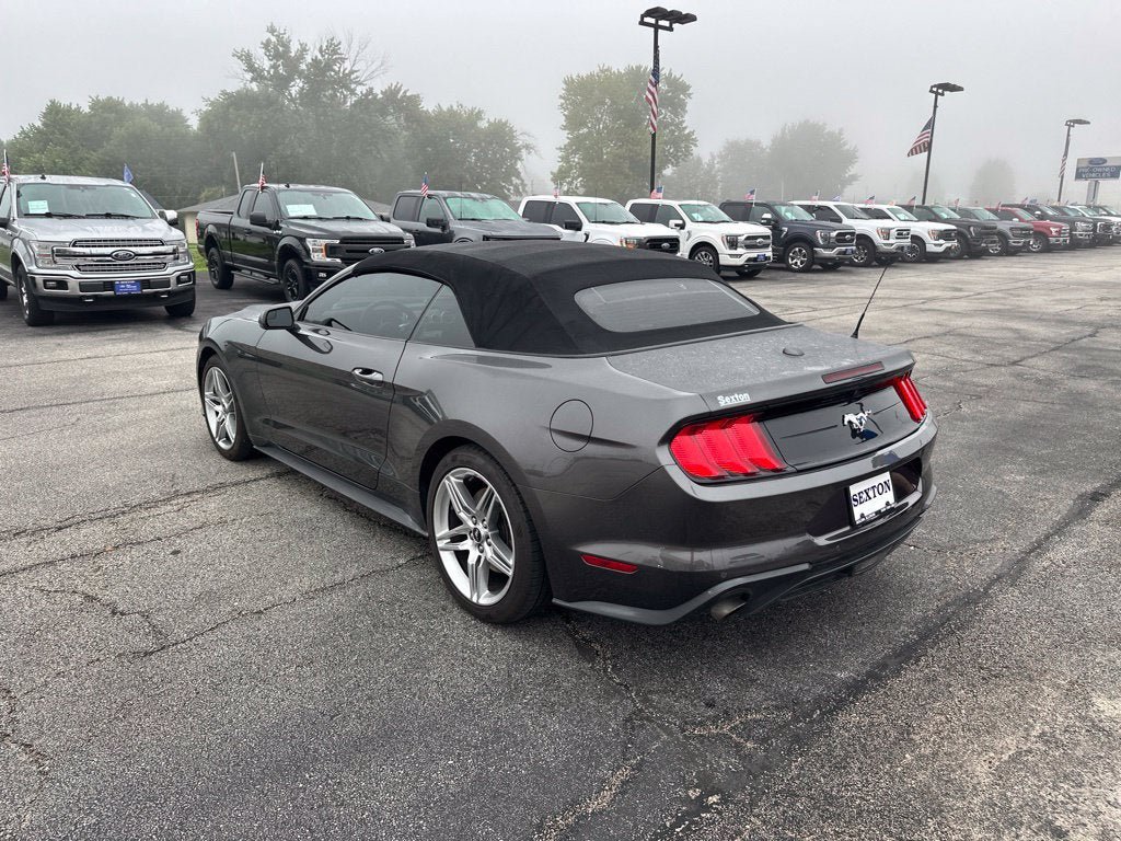 Certified 2019 Ford Mustang Convertible w/ Ecoboost Performance Package RWD image 7
